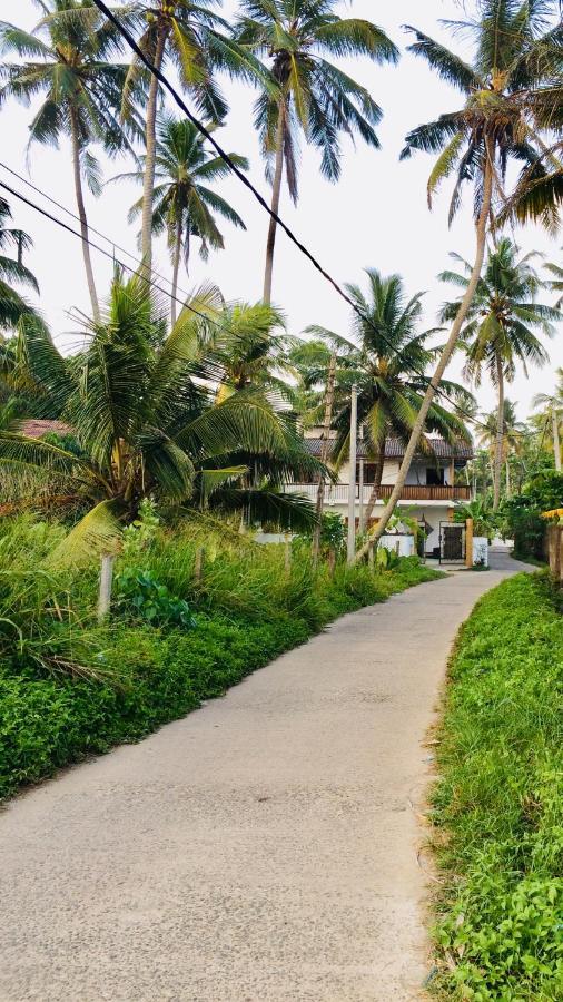 Marshmallow Homestay Ahangama Ngoại thất bức ảnh