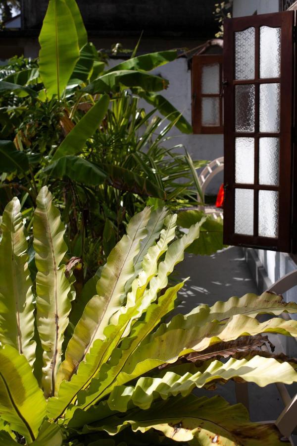 Marshmallow Homestay Ahangama Ngoại thất bức ảnh